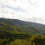 Kemp Vall De Ribes